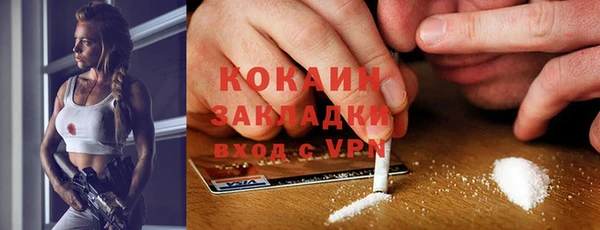 spice Алзамай