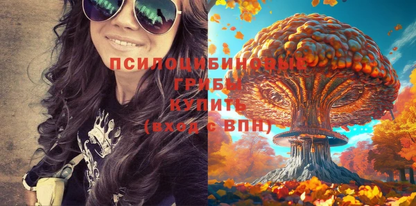 прущая мука Алексин